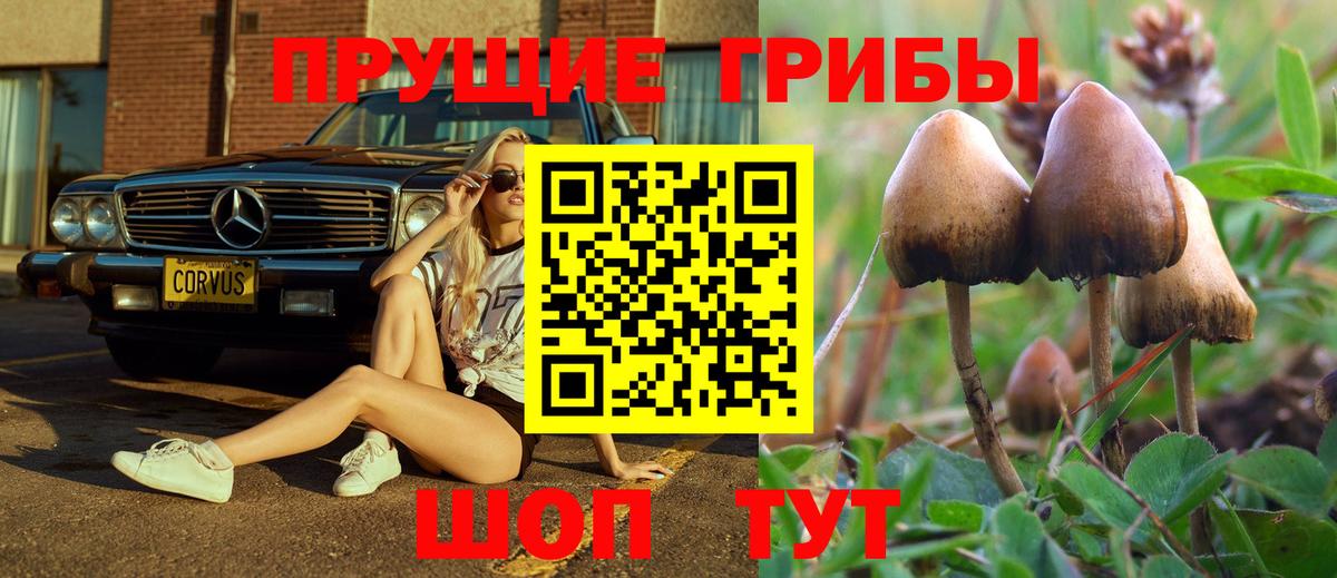 Галлюциногенные грибы Psilocybe  Галлюциногенные грибы мицелий  Радужный  Вход с VPN 